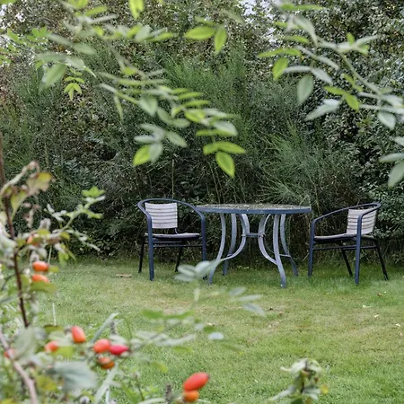 House By Forest And Roskilde Fjord's Waves