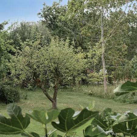 House By Forest And Roskilde Fjord's Waves Casa vacanze *